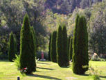 A Lake Country Bed and Breakfast in the Okanagan Valley, British Columbia, Canada A Lake Country Bed and Breakfast in the Okanagan Valley, British Columbia, Canada